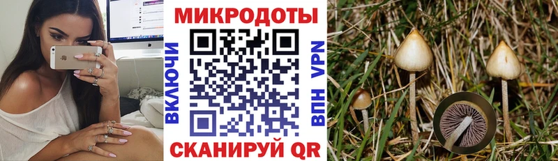 наркота Радужный мега зеркало Галлюциногенные грибы мухоморы